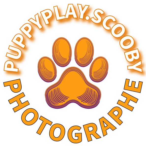Logo PUPPYPLAY.SCOOBY PHOTOGRAPHE